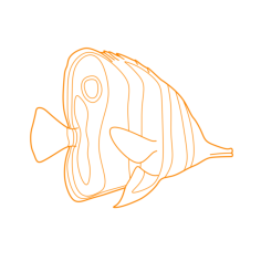 Animals Saltwater Fish Copperband Butterflyfish Monoline Svg Vector, Free Vectors File
